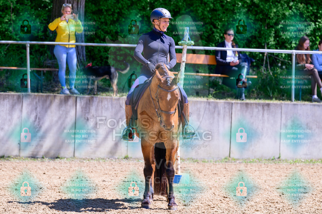 01052026-Giesenbach-02-Stiltrail-0353 | Fokus Hufschlag Fotografie - Realisiert mit Pictrs.com