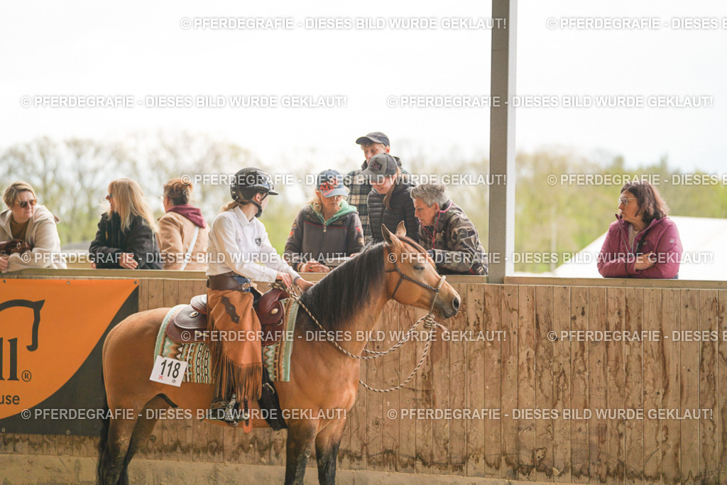 DSC07383 | Pferdegrafie