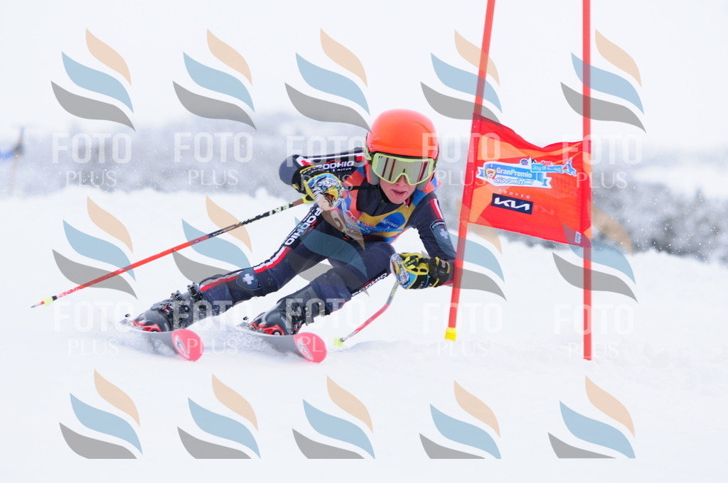 C2956 | holidayphoto