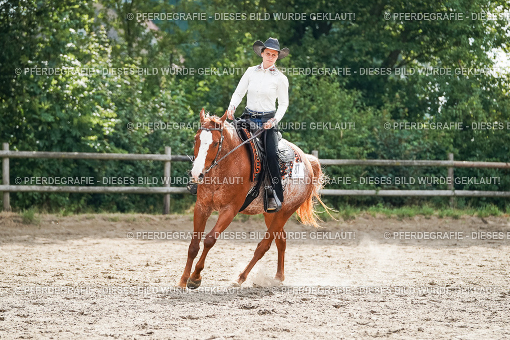 DSC04456 | Pferdegrafie