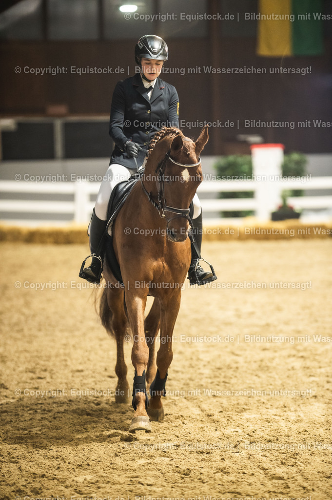 20240302_Hengstvorstellung_Marbach_TOMsPiC_1347 | equistock