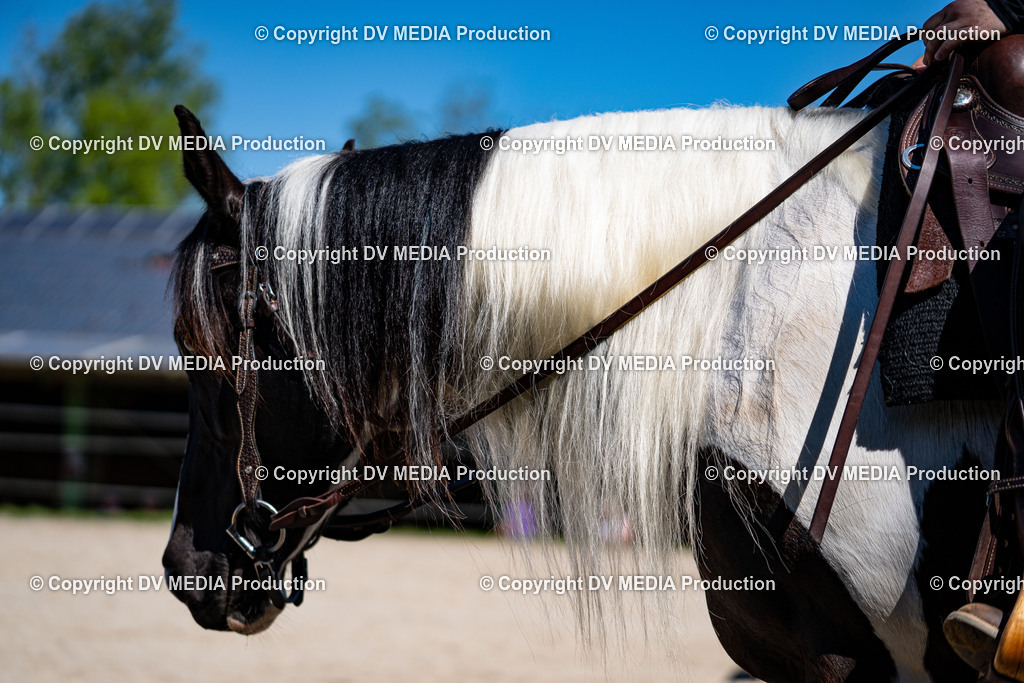 Balingen Tag 1-1079 | dv-media-shop - Realisiert mit Pictrs.com
