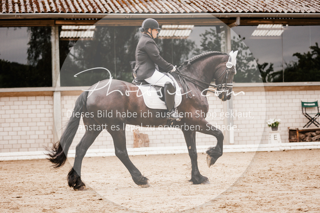 3I6A7738 | Stimmungsvolle Portraits und Reitsportfotografie im Ruhrgebiet und im Münsterland.

Pferdefotografie, Hundefotografie, Tierfotografie, Reportagen, Portraits von Tier und Mensch, Turnierfotografie in Bochum, Recklinghausen, Marl, Haltern am See, Dülmen.. - Realisiert mit Pictrs.com