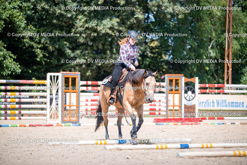 ZS1_1280 | dv-media-shop - Realisiert mit Pictrs.com