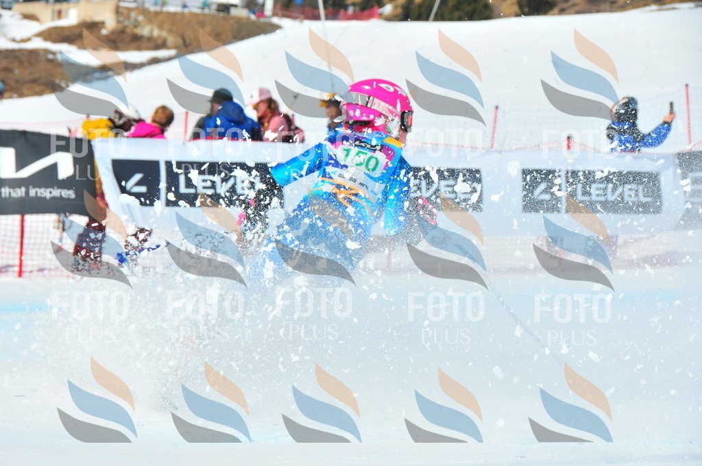 DSC_1311 | holidayphoto