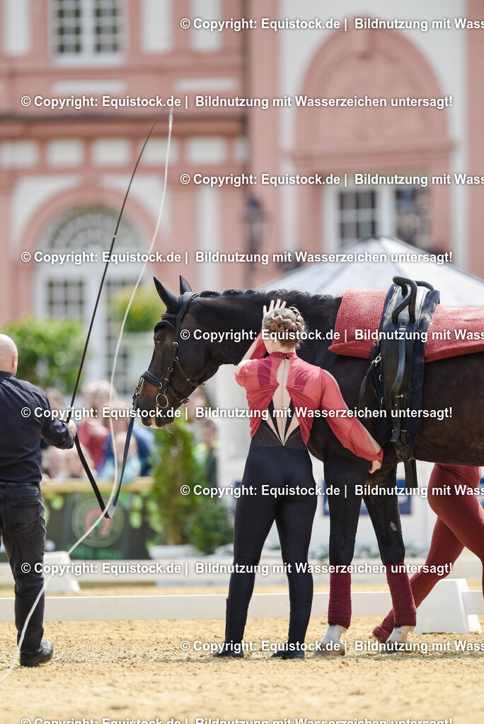 20250608_CVI-Masterclass_0821 | Foto: Thomas Hartig