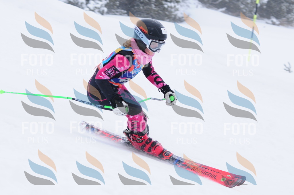 C2455 | holidayphoto