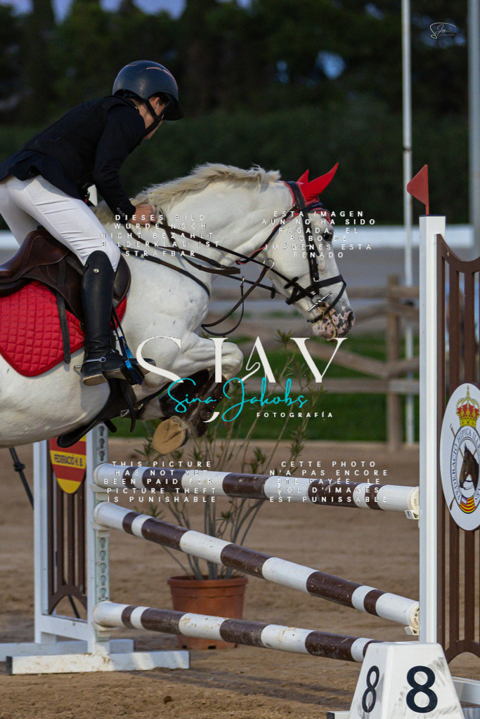 IMG_6178 | s-jay-photography - Realisiert mit Pictrs.com