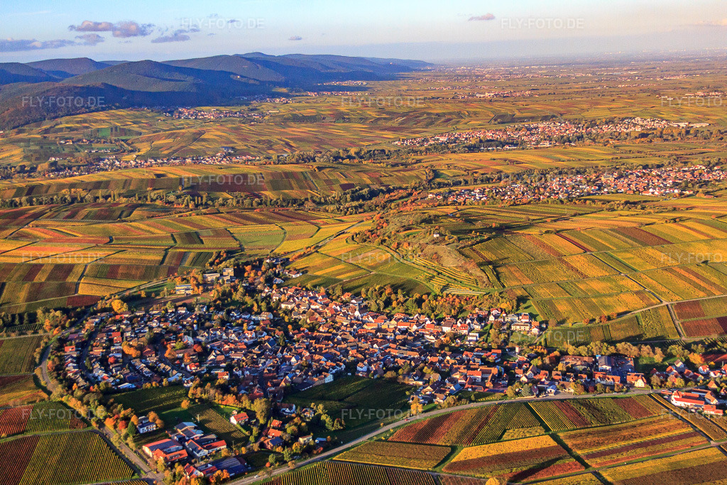 Luftbild: Naturschutzgebiet kleine Kalmit über dem Winzerdorf in Ilbesheim bei Landau im Bundesland Rheinland-Pfalz in Deutschland. Foto: IMG_60601.jpg vom 24.10.2013 durch Werner Riehm/FLY-FOTO.de