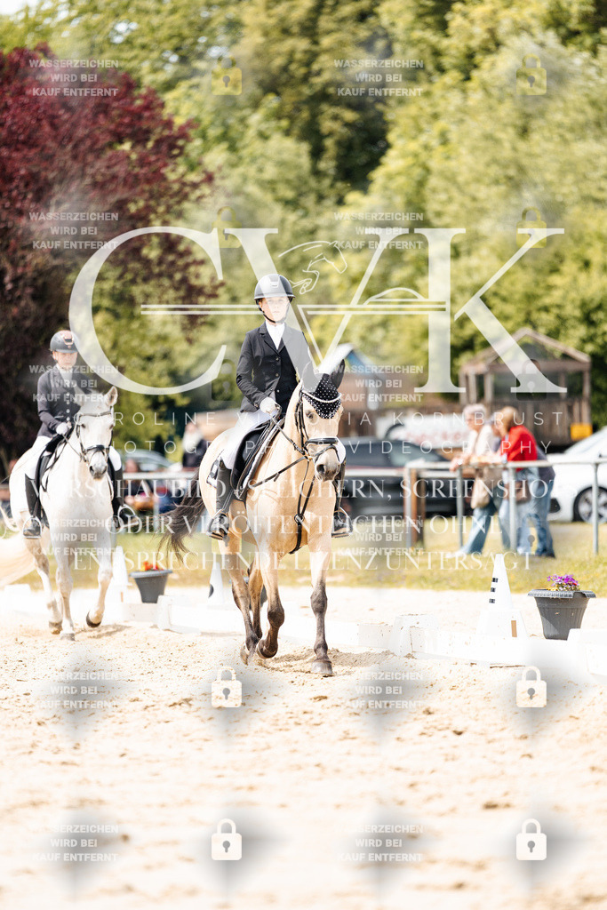 CK902439 | Turnierfotografie Pferdefotografie Trier Rheinland-Pfalz Pferdesport Reitsport Tierfotografie Sportfotografie Pferdevideo Pferdevideografie Equestrianvideography equestrianphotography  - Realisiert mit Pictrs.com