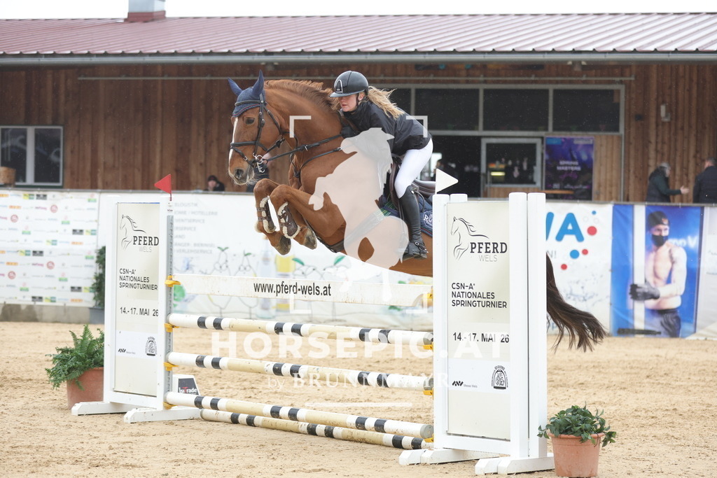 0P6A1300 | Willkommen bei Brunnmayr - Design & Fotografie – Ihrem Spezialisten für Reitturniere und Pferdeveranstaltungen in Oberösterreich, Salzburg und Bayern! Seit über 17 Jahren sind wir leidenschaftlich dabei.