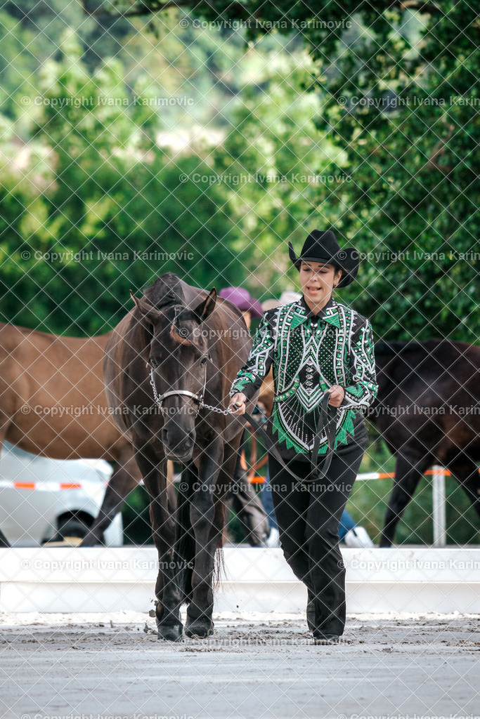 DSC02221 | ikphotography - Realisiert mit Pictrs.com