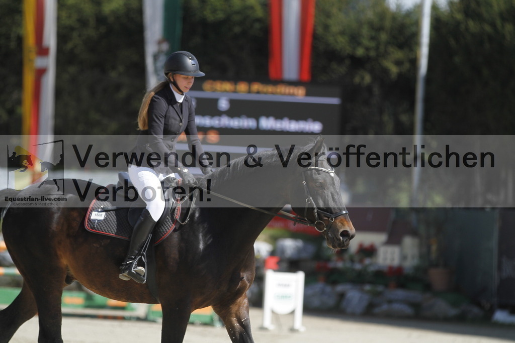 _MG_4979 | equestrian-live-com