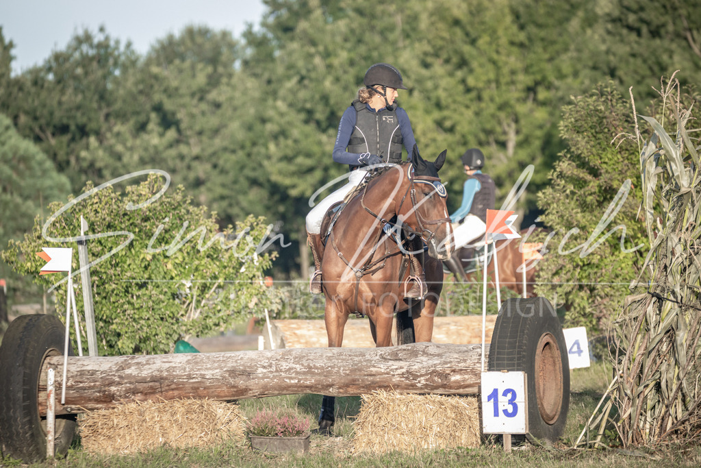 20250907-_3LR7836 | Tierfotografie Pferde, Hunde, Katzen, Haustiere.
Turnierfotografie Reitturniere, Reiten, Springreiten, Dressur in Hanau, dem Main-Kinzig-Kreis und dem Rhein-Main- Gebiet um Frankfurt