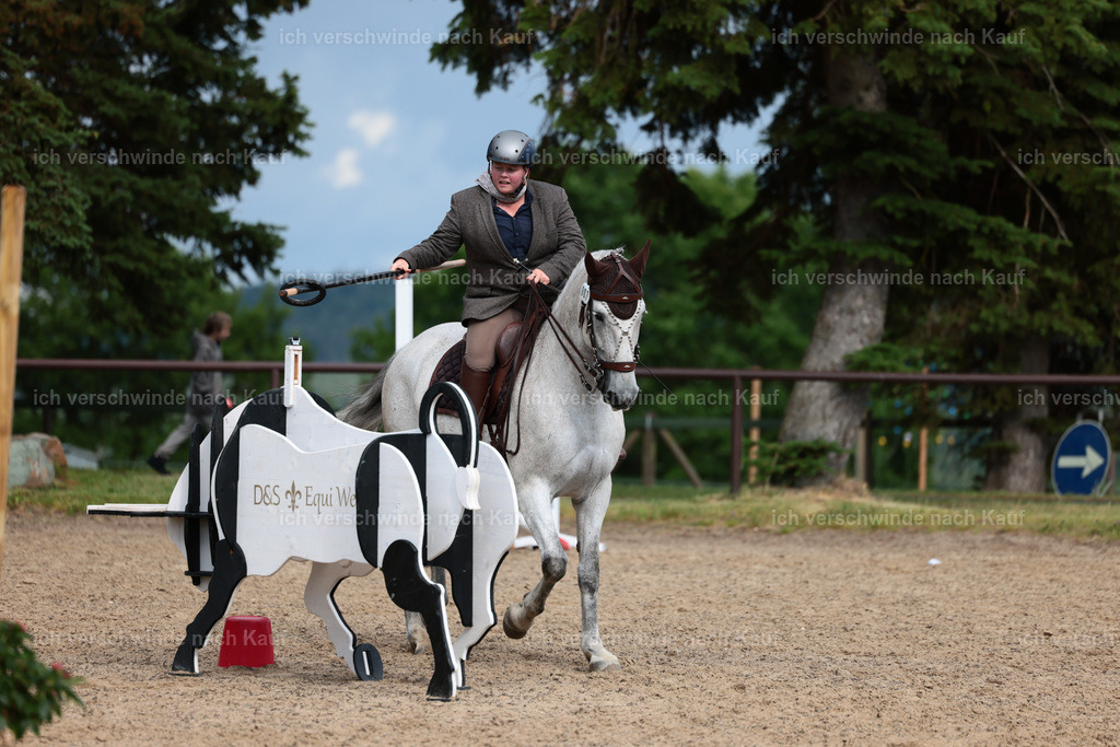 KlasseL_Stoibphotography_CAM23946.JPG | working equitationturnier fotograf videograf stoibphotography marixx film working equitation deutschland reitsport turnierfotografie eventfotografie equestrian events