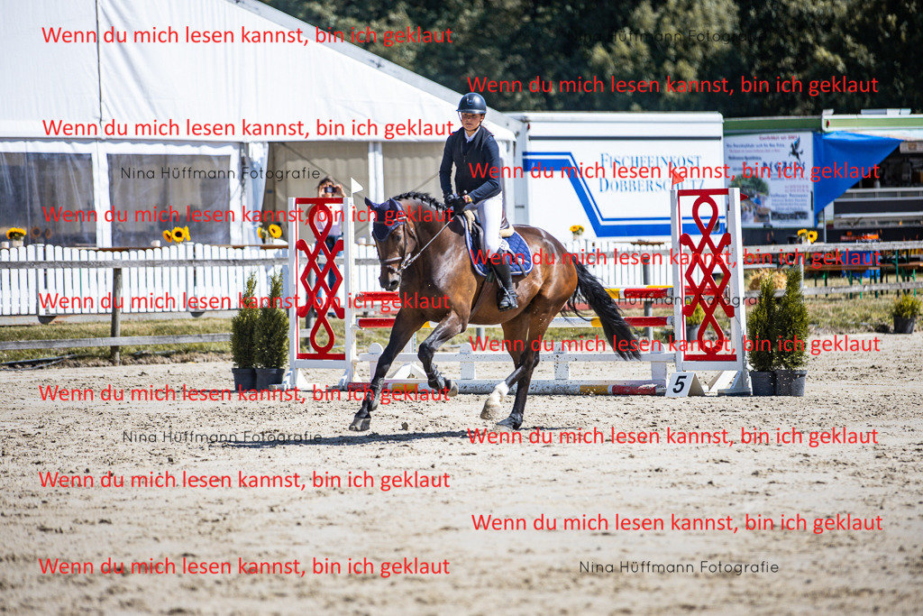 BK1A5233 | Turnierbilder Turnierfotos Nina Hüffmann Turnierfotografie Pferdefotografie Tierzeichnung Haustierzeichnung Pferdezeichnung Hundezeichnung Videograf  - Realisiert mit Pictrs.com