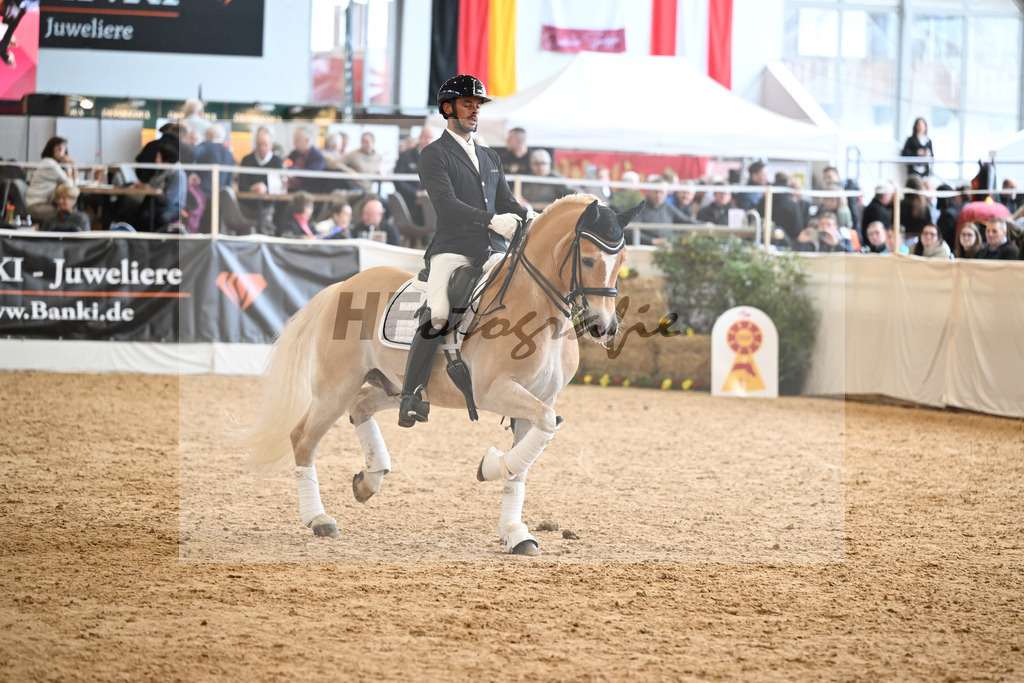 Schauprogramm Haflinger_DSP Amiro_2251582 | hf-fotografie - Realisiert mit Pictrs.com