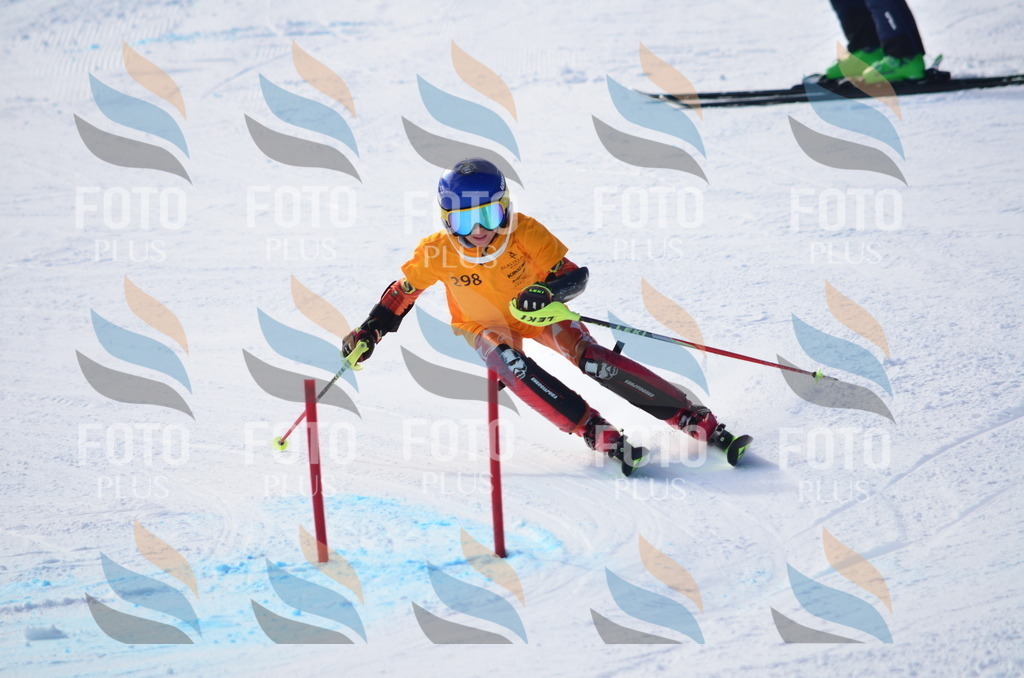 C8740 | holidayphoto