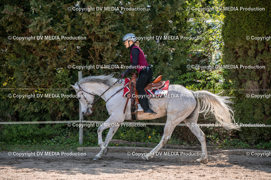 Balingen Tag 3-597 | dv-media-shop - Realisiert mit Pictrs.com