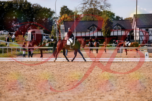 2026_10_03_Siefer-Hof_133902_Z81_98281969 | Professionelle Reitsport-, Turnier- und Eventfotografie von Robert Broda. Galerien mit ausgewählten und bearbeiteten Bildern direkt online ansehen und bestellen.