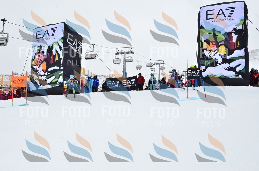 _ELE3109 | holidayphoto