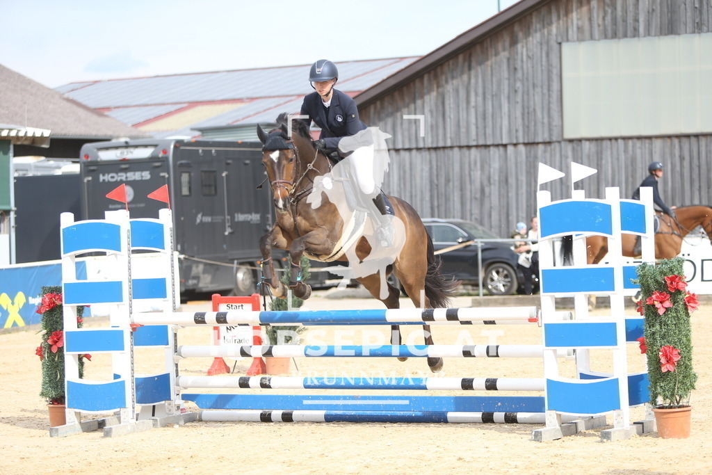 DL2Q2332 | Willkommen bei Brunnmayr - Design & Fotografie – Ihrem Spezialisten für Reitturniere und Pferdeveranstaltungen in Oberösterreich, Salzburg und Bayern! Seit über 17 Jahren sind wir leidenschaftlich dabei.