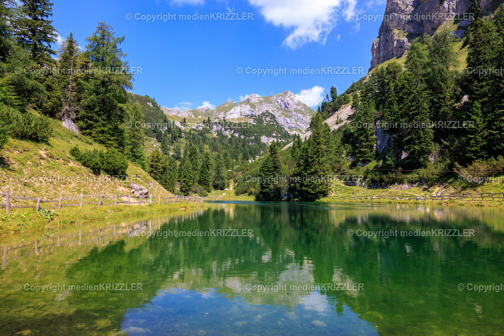 _J3A8237 | medienkrizzler - Realisiert mit Pictrs.com