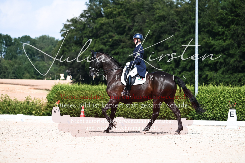DSC_3160 | Pferde- und Turnierfotografie in Westsachsen. Pferdeportraits, Auftragszeichnungen und intuitive Kunst.