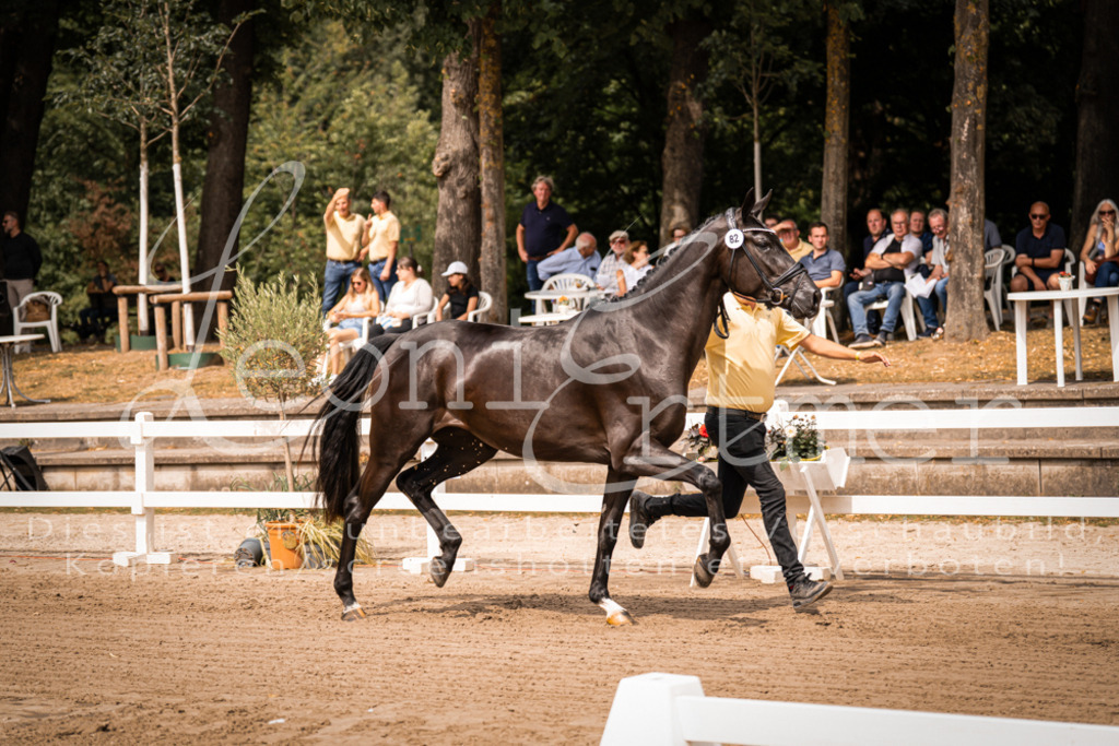 4.Fr00133 | Leoni Ertmer Photography - Realisiert mit Pictrs.com