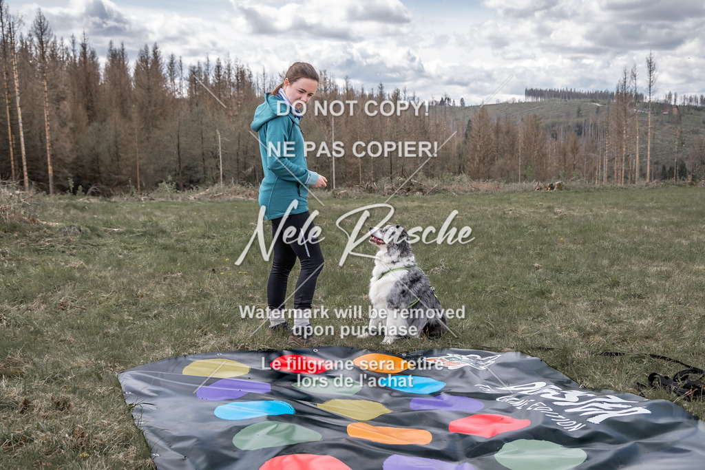 NR__0156 | nelerasche