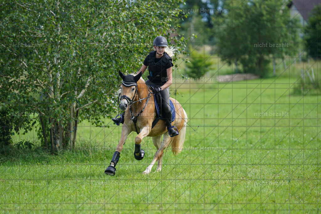 20240622-FAH07908 | Turnierfotografen Bayern, Reitsportbilder aus dem Geländekurs mit Felix Etzel auf dem Gut Waitzacker 2024