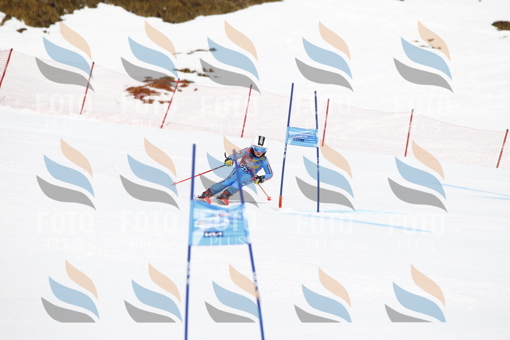 _U3G5636 | holidayphoto