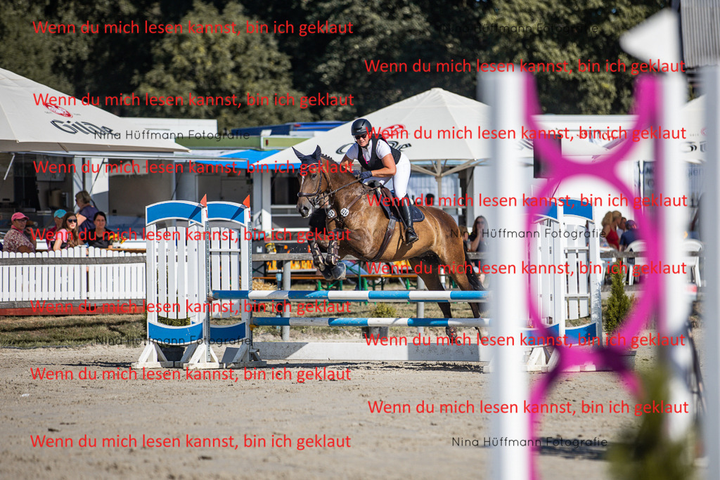 BK1A7237 | Turnierbilder Turnierfotos Nina Hüffmann Turnierfotografie Pferdefotografie Tierzeichnung Haustierzeichnung Pferdezeichnung Hundezeichnung Videograf  - Realisiert mit Pictrs.com