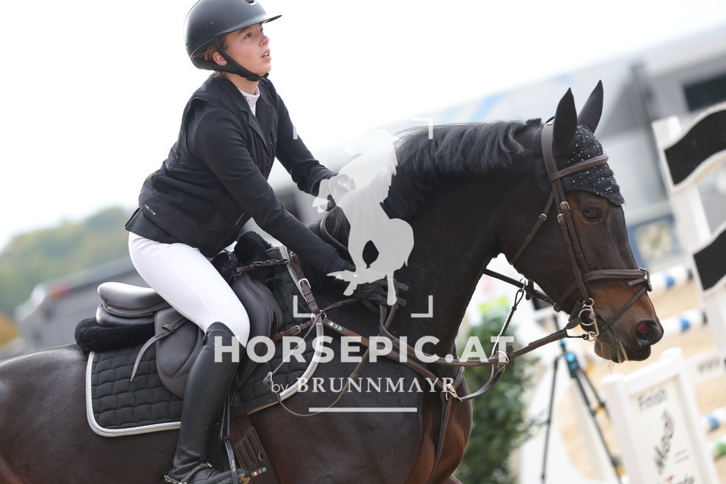 0P6A3758 | Willkommen bei Brunnmayr - Design & Fotografie – Ihrem Spezialisten für Reitturniere und Pferdeveranstaltungen in Oberösterreich, Salzburg und Bayern! Seit über 17 Jahren sind wir leidenschaftlich dabei.