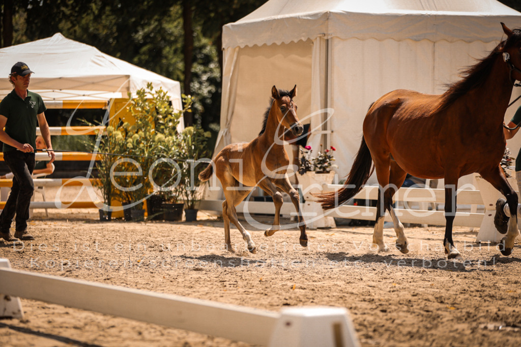 03.DoAB00010 | Leoni Ertmer Photography - Realisiert mit Pictrs.com