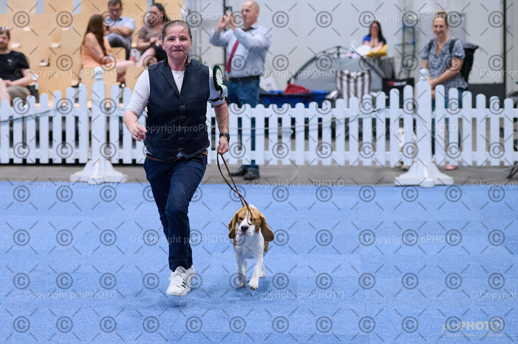 202406_ÖKV-IHA-Tulln24_DSC_4060 | proPHOTO - Realisiert mit Pictrs.com