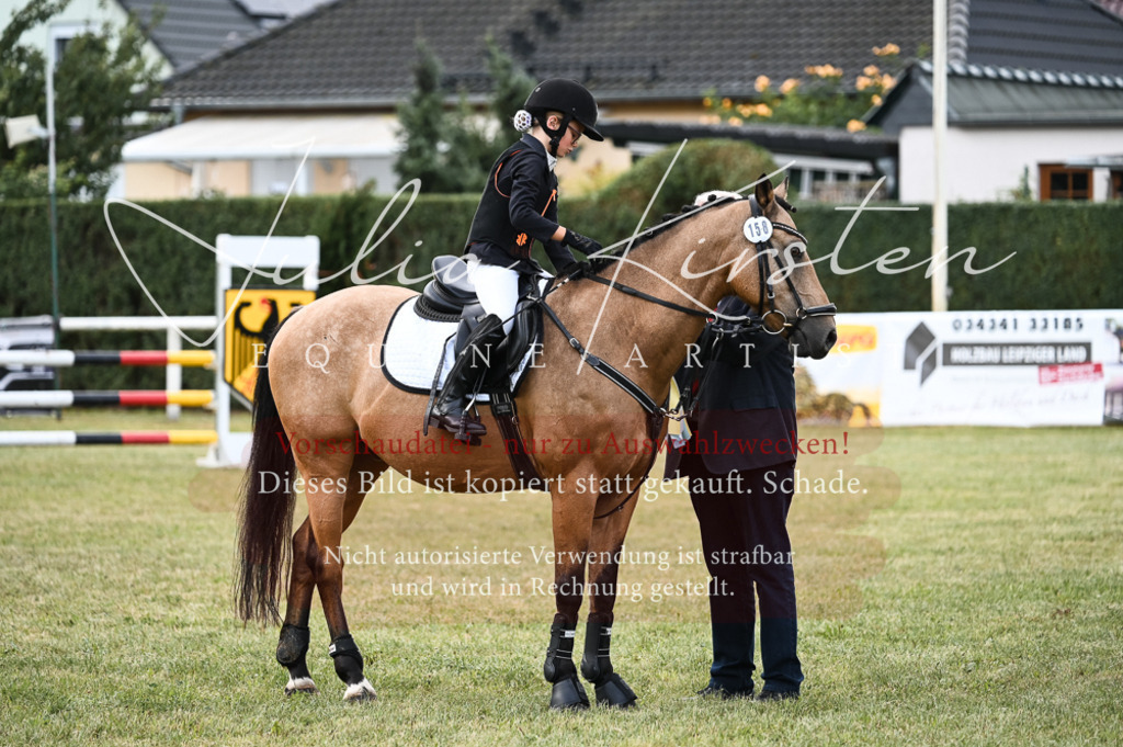 DSC_5761 | Pferde- und Turnierfotografie in Westsachsen. Pferdeportraits, Auftragszeichnungen und intuitive Kunst.