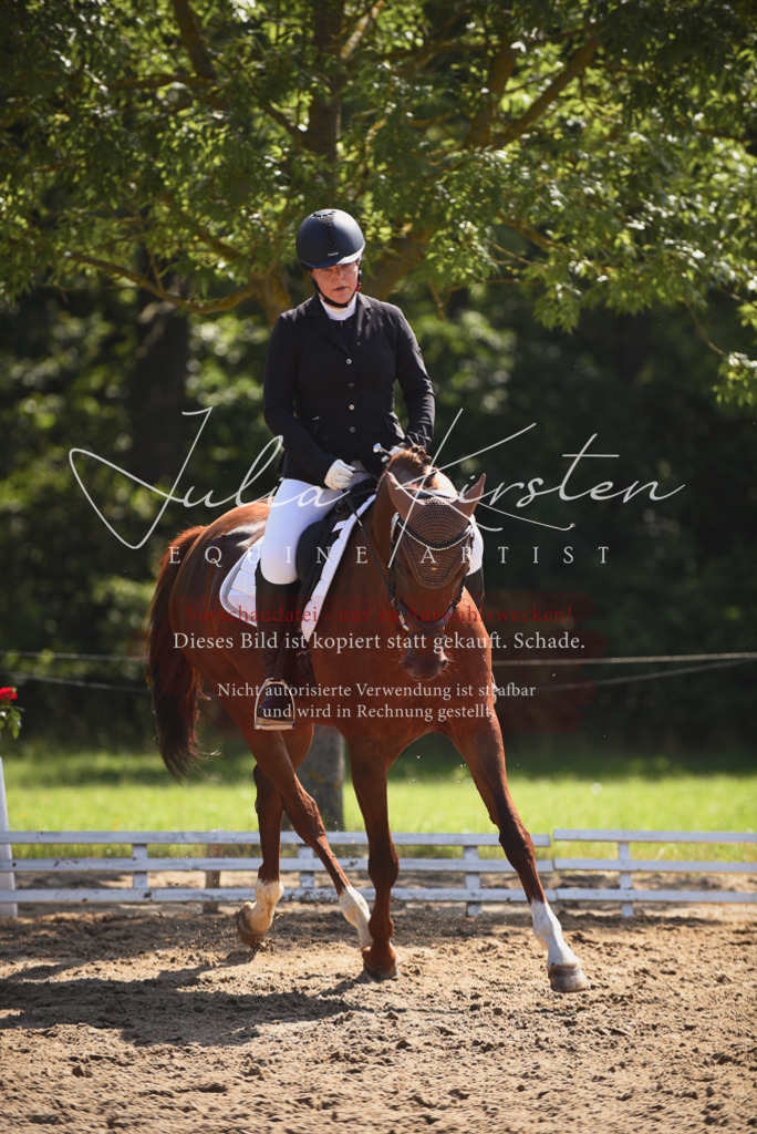 DSC_0522 | Pferde- und Turnierfotografie in Westsachsen. Pferdeportraits, Auftragszeichnungen und intuitive Kunst.