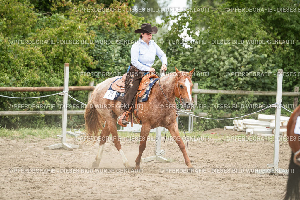 DSC04418 | Pferdegrafie