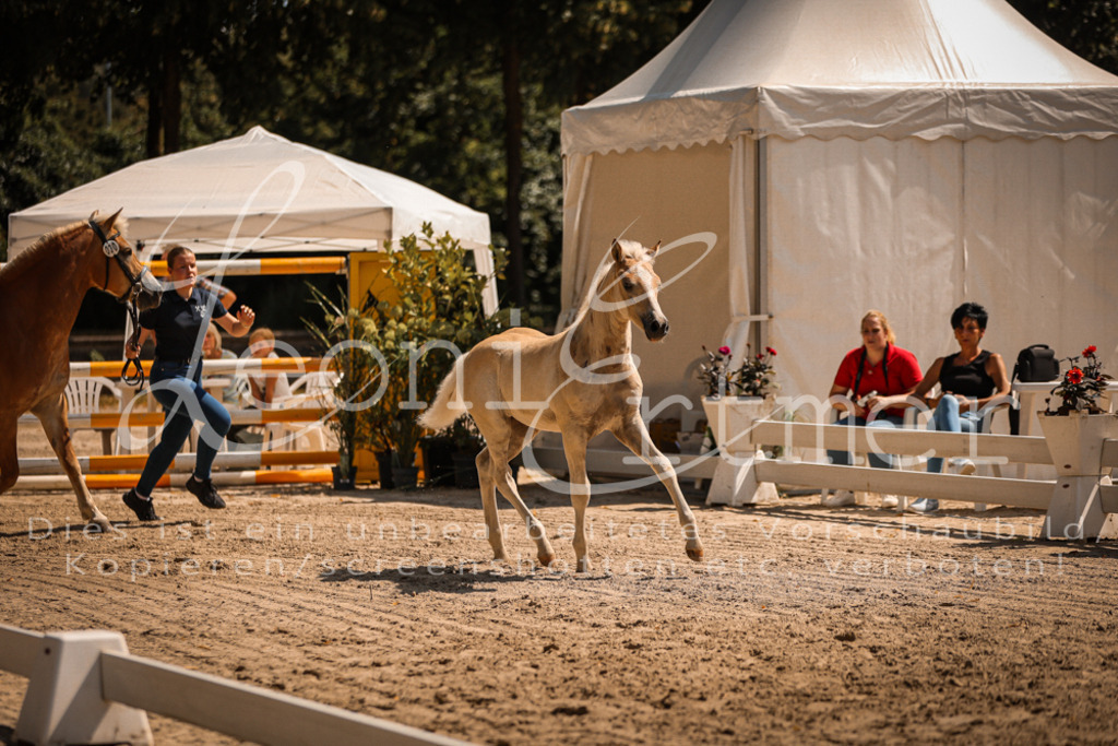 06.DoH00091 | Leoni Ertmer Photography - Realisiert mit Pictrs.com