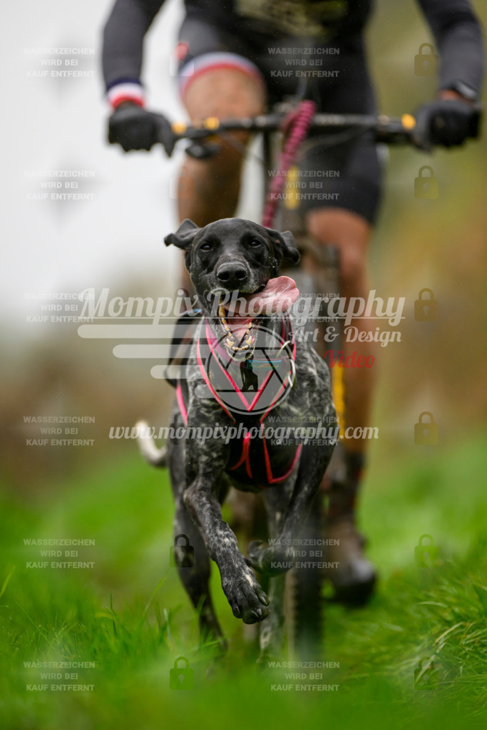MompixPhotography_20TSB_E8_Bike-61 | PayLife