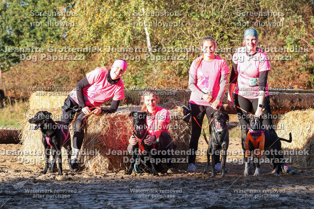Dog Paparazzi - Strongdog 10-25-876 | Dog Paparazzi Jeanette Grottendiek Fotografie & Videografie - Realisiert mit Pictrs.com