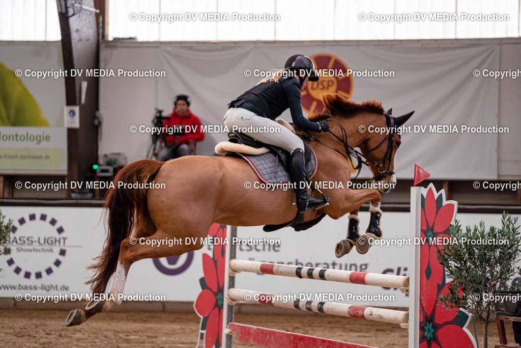 Kranichstein II Tag 1-689 | dv-media-shop - Realisiert mit Pictrs.com