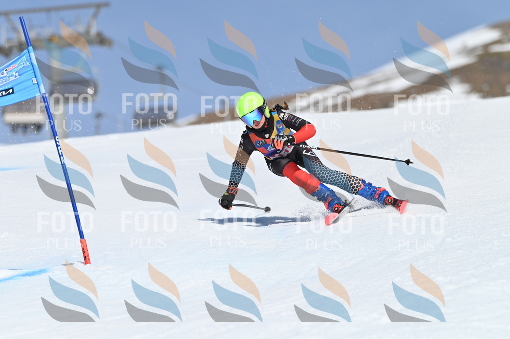 BGV_9641 | holidayphoto