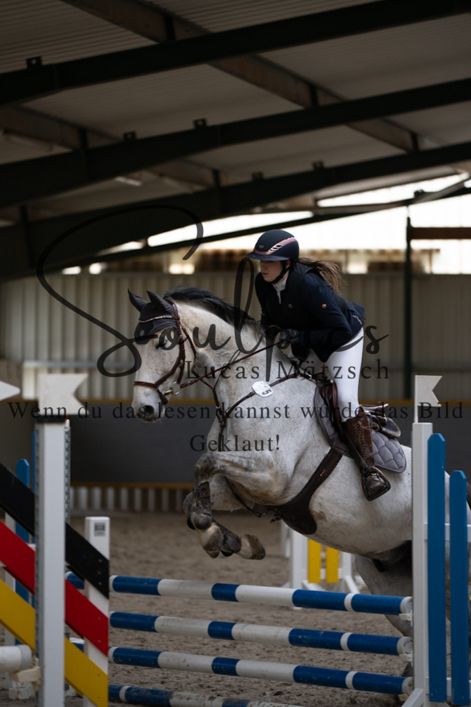 A7V04078 | Pferdefotograf