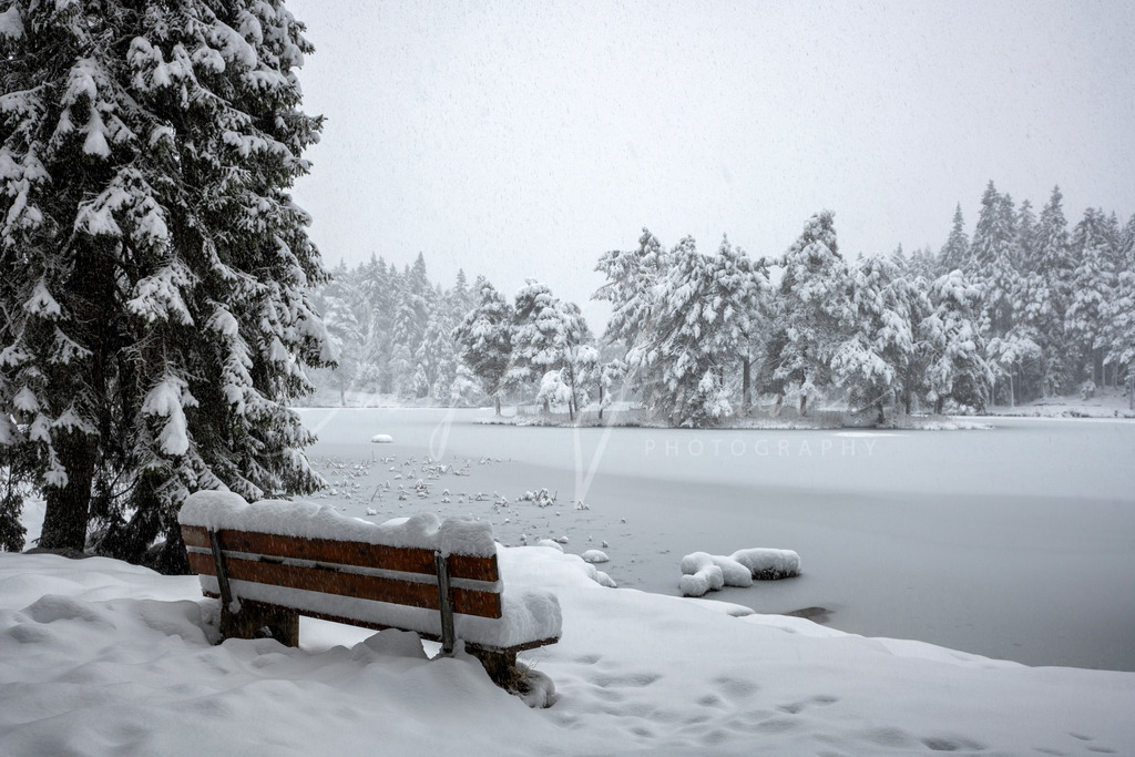 Möserer See | winter wonderland am Möserer See