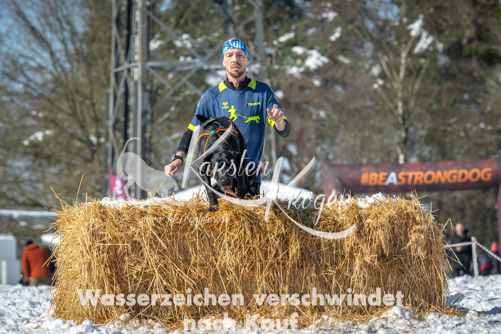1130_ZZ92451-3 | kk-dogfotos