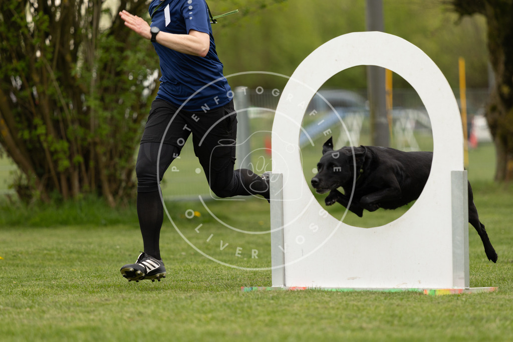 Pfotenfotografie_DV3A9227 | Hundefotografie, Tierfotograf, Pfotenfotografie, Fotoshooting Hund, Hunde Portrait, Hundesport, Hundeportraits, Heideshooting, Hunde, Sportfotograf, Hundefotograf, Turnierhundsport, THS,  - Realisiert mit Pictrs.com