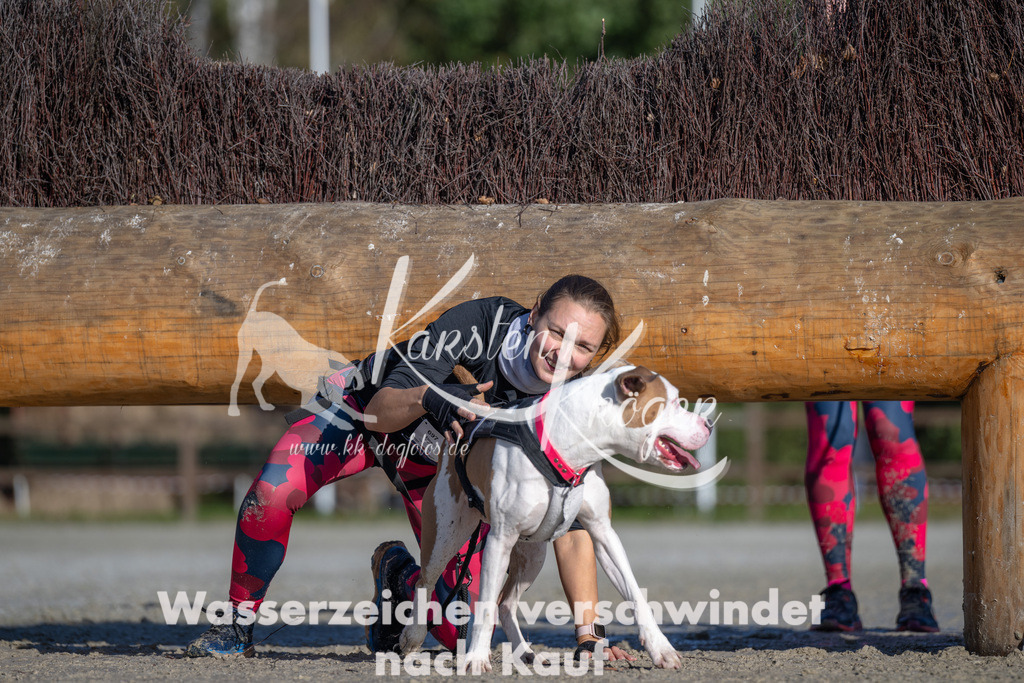 1050-_ZZ92931 | kk-dogfotos