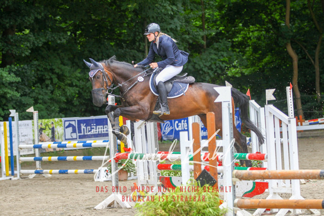 DKP44919 | Turnierfotos kaufen im Webshop von Daniel Kuhl Photography – entdecke professionelle Reitsportfotos aus Turnieren & Events. Hochwertige Turnierbilder online bestellen & sichern. Jetzt Fotos von Reitsportturnieren kaufen!